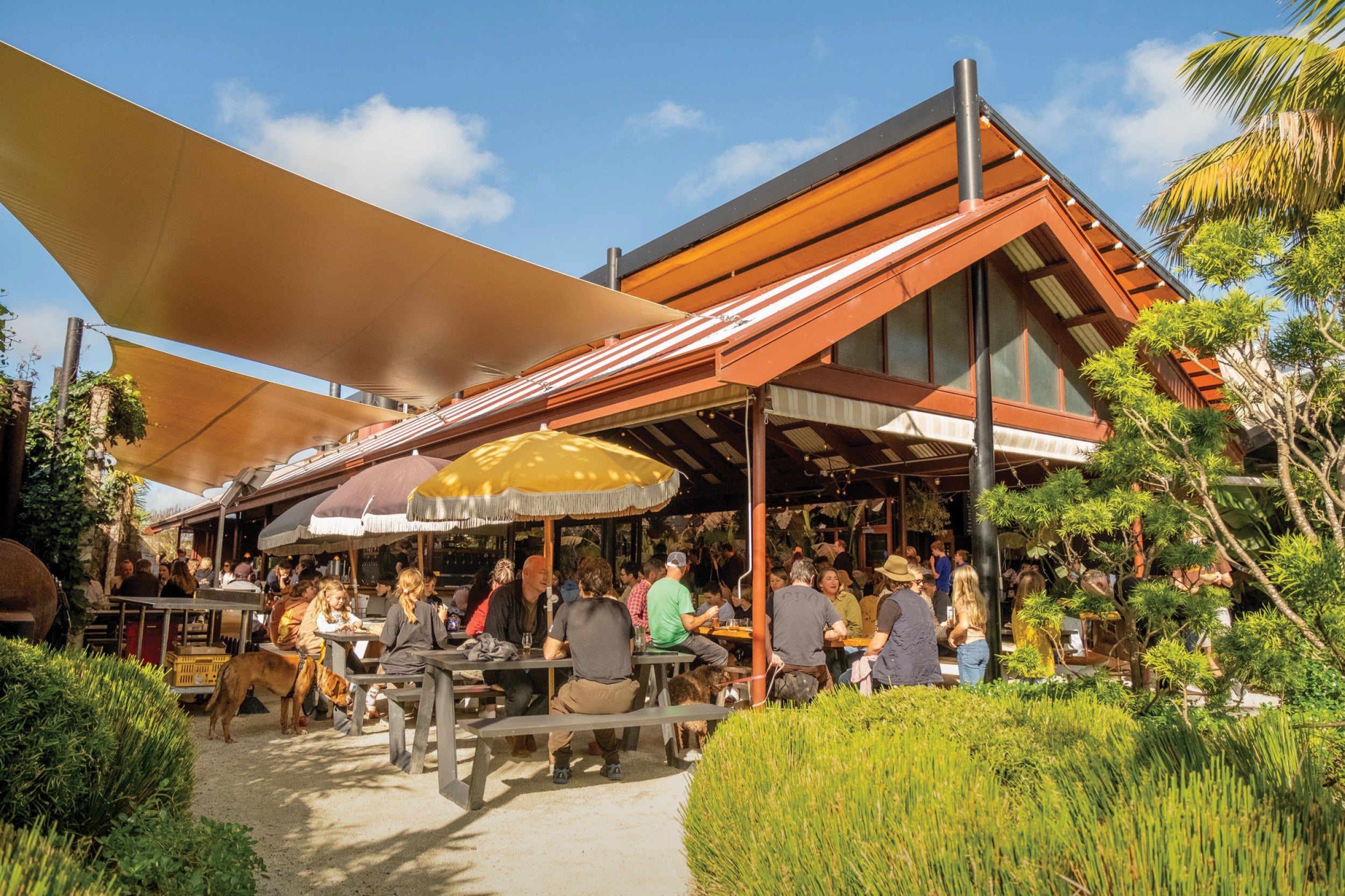 Hallertau | Brewery & Biergarten